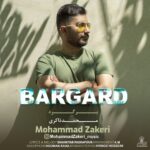 دانلود آهنگ محمد ذاکری برگرد